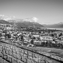 Fin de journée dans le Lavaux - 014